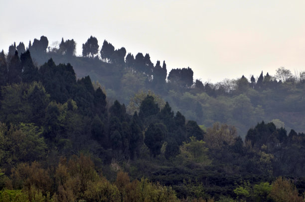 成都地标建筑剪影