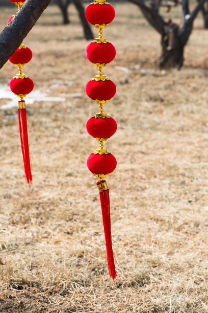 中国春节户外悬挂的红色灯笼