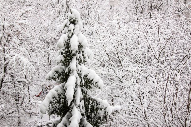 童话般的白色圣诞树