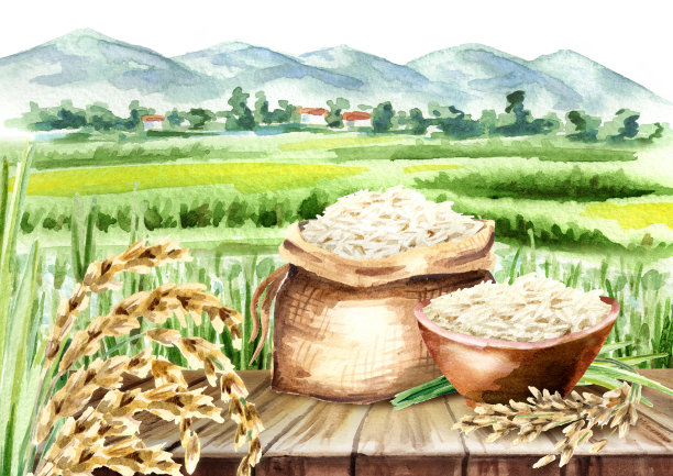 水稻田收割