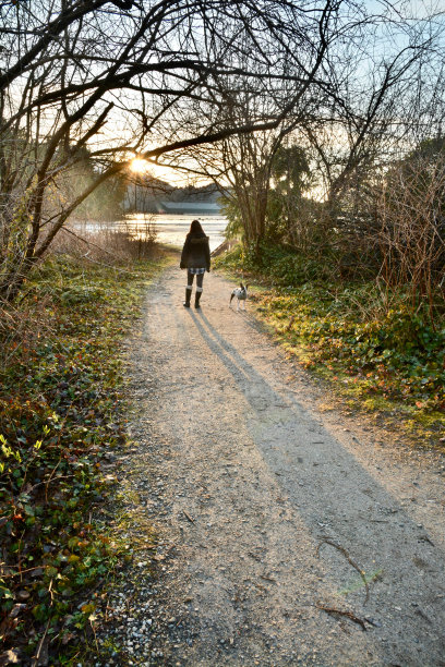 雾状溪流