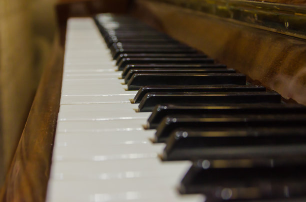 音乐艺术钢琴演奏演出教育教学