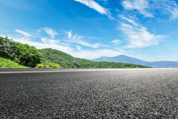 道路树木