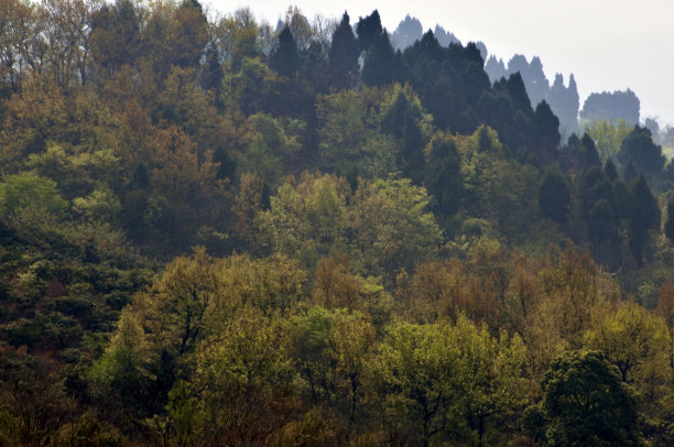 山丘峰顶