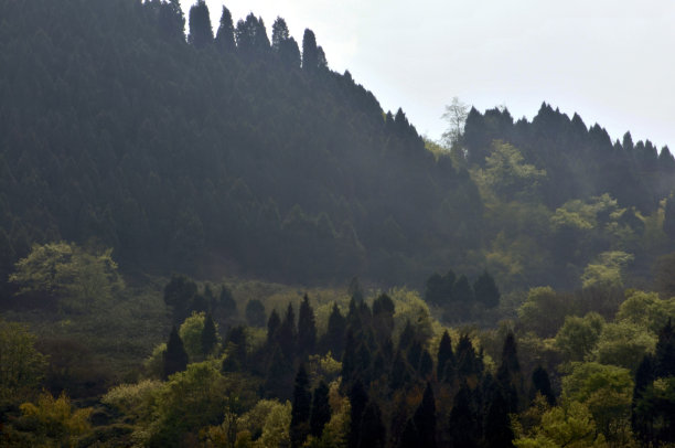 山丘峰顶