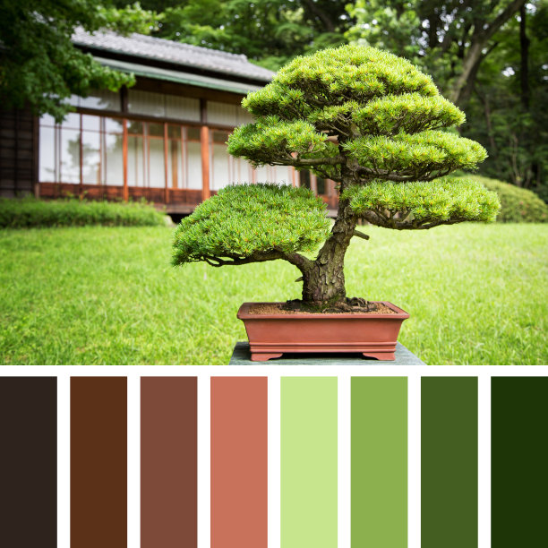 日本传统色色卡