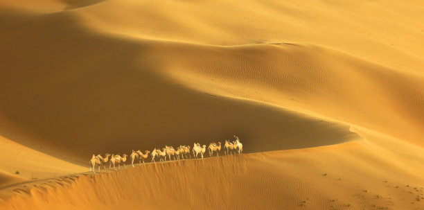 沙漠戈壁大漠