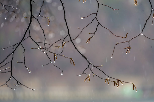 立冬大雪小寒雨水