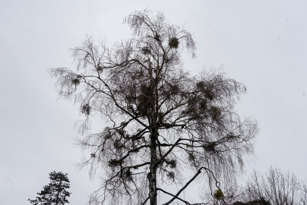 立冬大雪小寒雨水