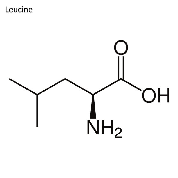 化学分子链