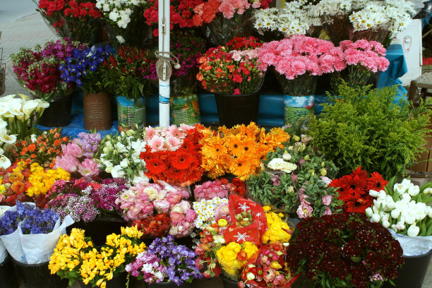 花店鲜花店