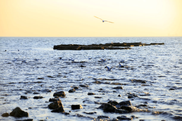 海岸海岸线