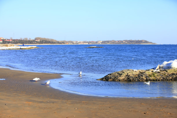 海岸海岸线