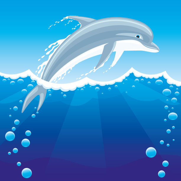 海豚 跳跃