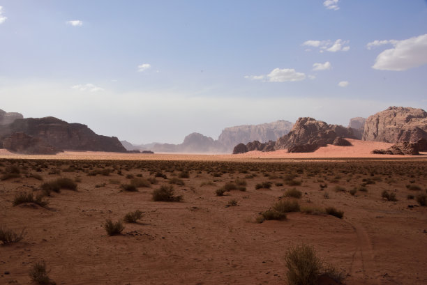 沙漠平原