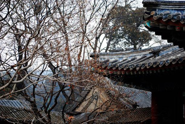 雪景建筑