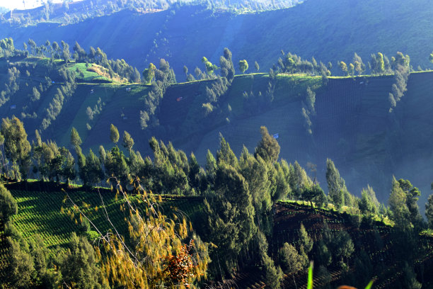 婆罗摩火山