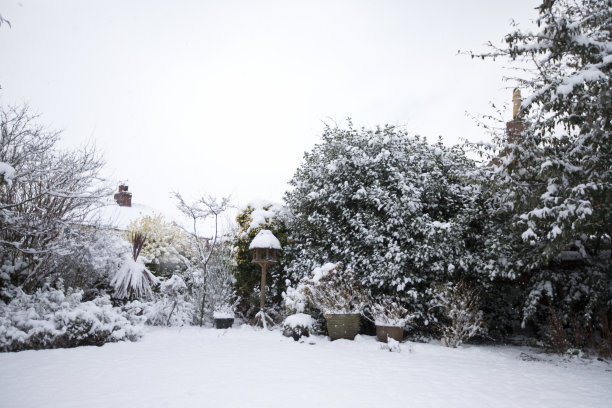 下雪中的院子