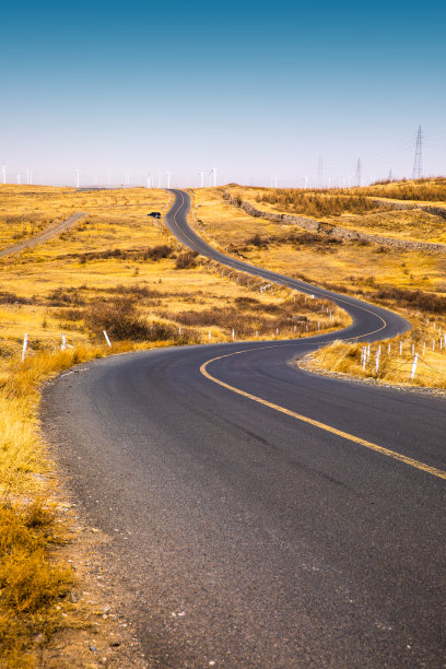 自主创新道路