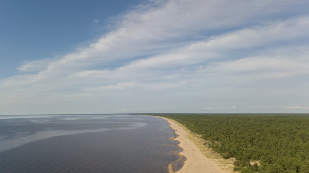 河流入海口俯视图