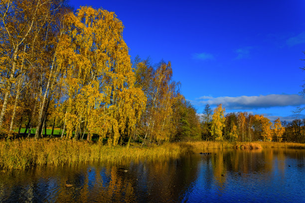 瑞典斯德哥尔摩的秋季