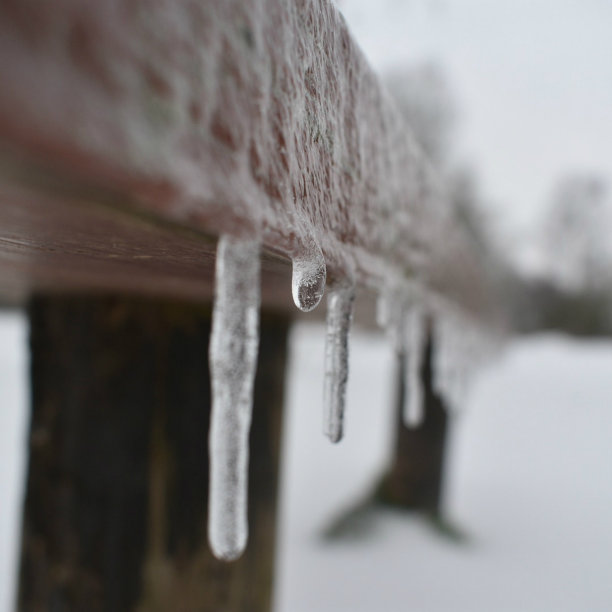 冬季雪景树挂