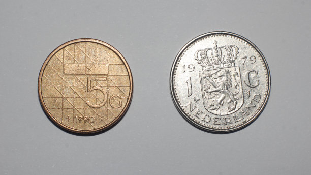 荷兰银币