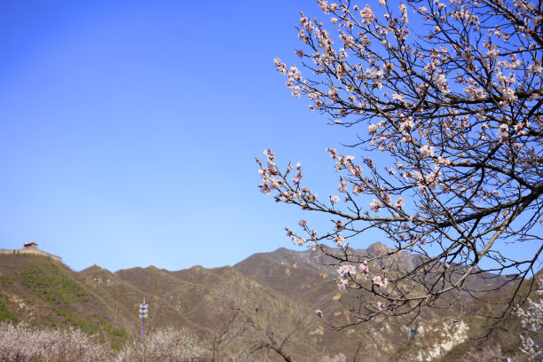 金山岭长城,金山岭风光