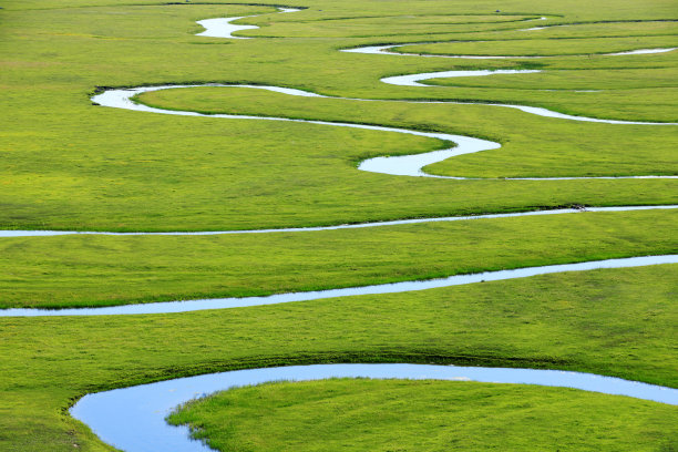 晴朗湿地