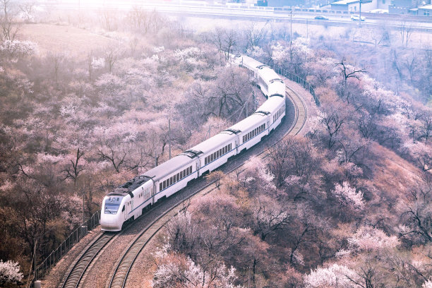 中国铁路高速列车