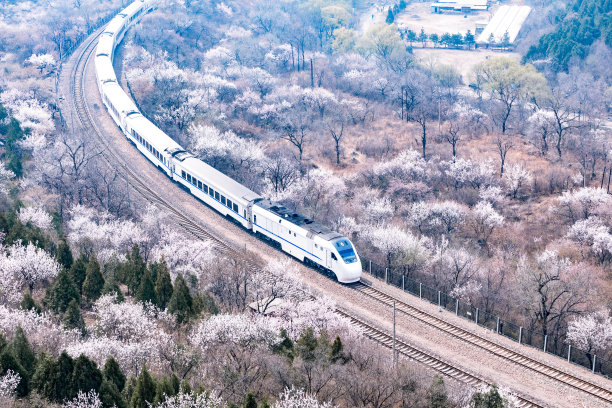 中国铁路高速列车