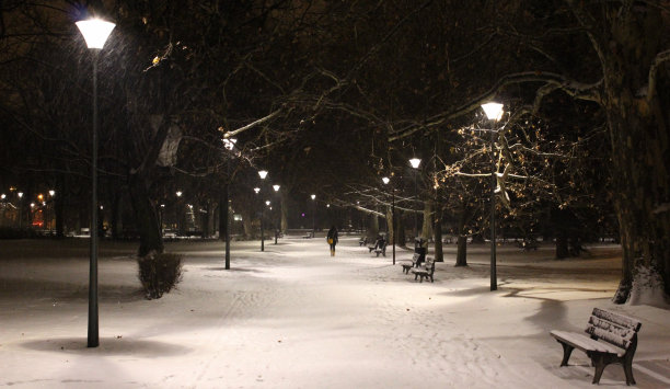 雪中桥梁