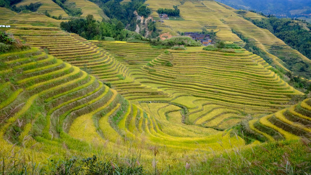 乡村全景