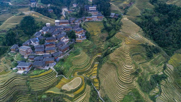 云和梯田全景图