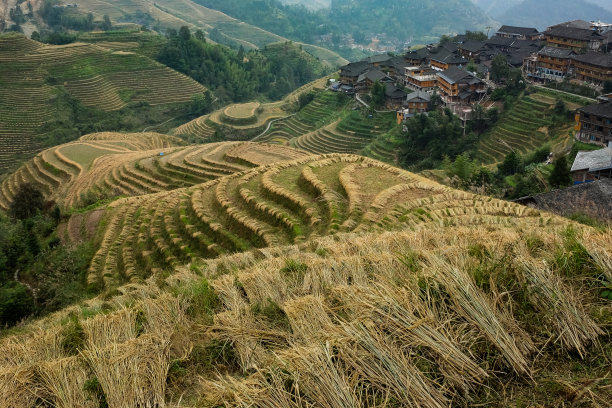 云和梯田全景图