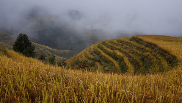 桂林山水风光