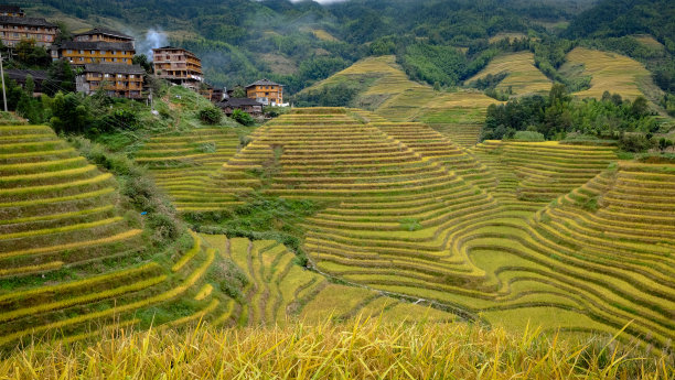 梯田风光