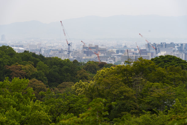 日本,京都,清水寺