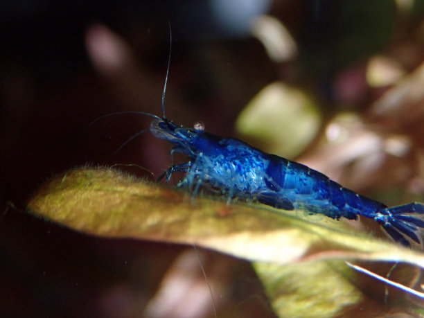 水族馆水草海底世界