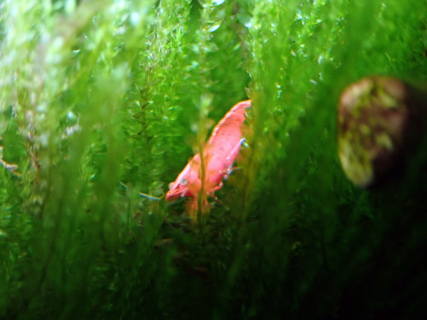 水族馆水草海底世界