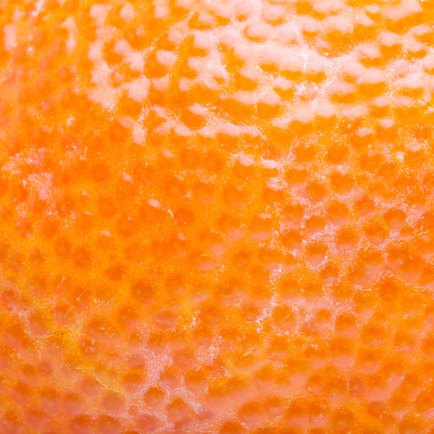 柑橘棚拍