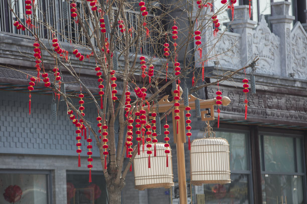 春节灯笼装饰