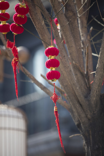 春节灯笼装饰