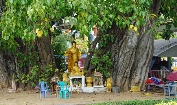 柬埔寨寺院