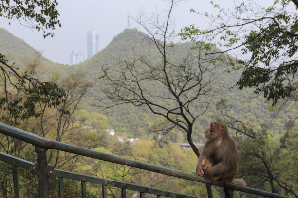 贵阳旅游景点