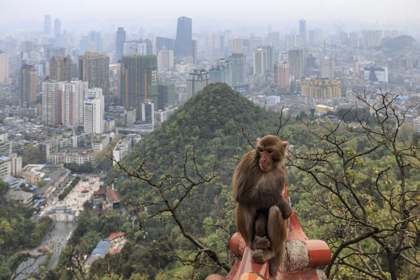 贵阳旅游景点