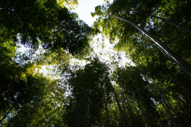 禅境山