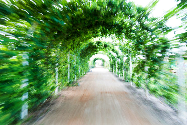 登山步道