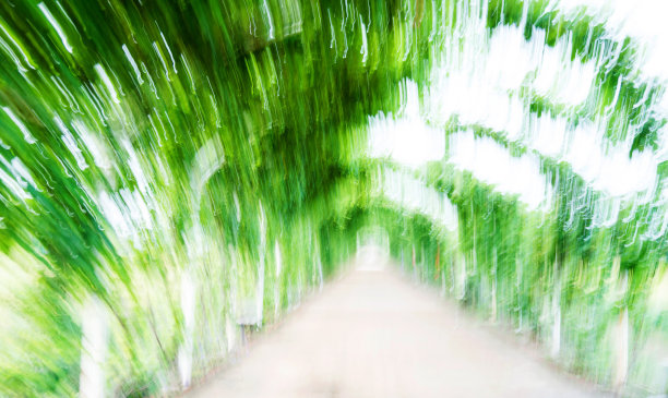 登山步道