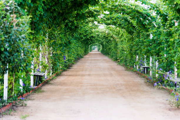 小路土路步道